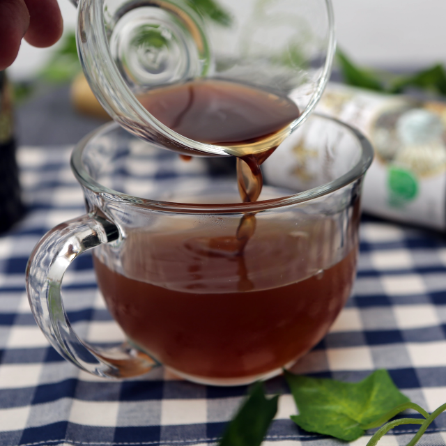 강원곰탱농부(혜원천마),십전대보발효액